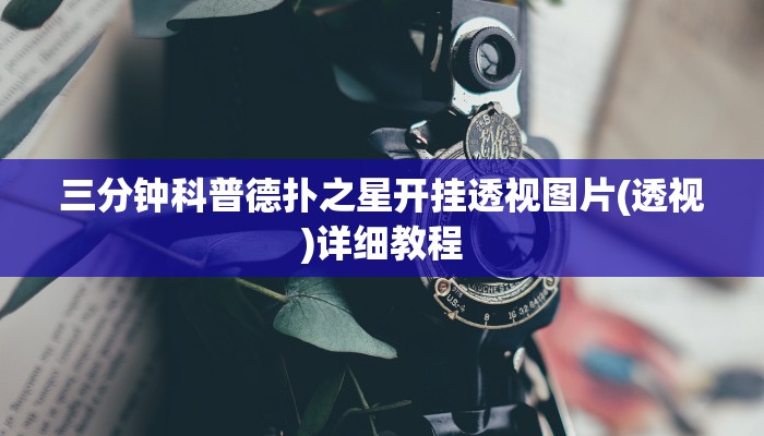 实测辅助wepoker开挂透视(透视)详细教程