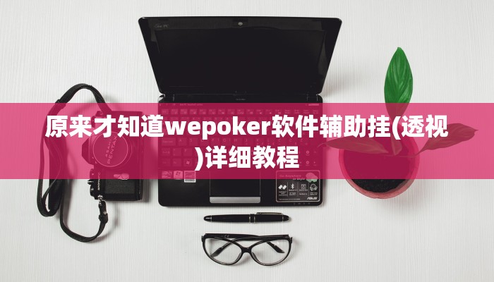 原来才知道wepoker软件辅助挂(透视)详细教程