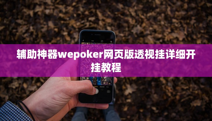 实测辅助“十三张麻将是怎么开挂的”原来确实有挂!
