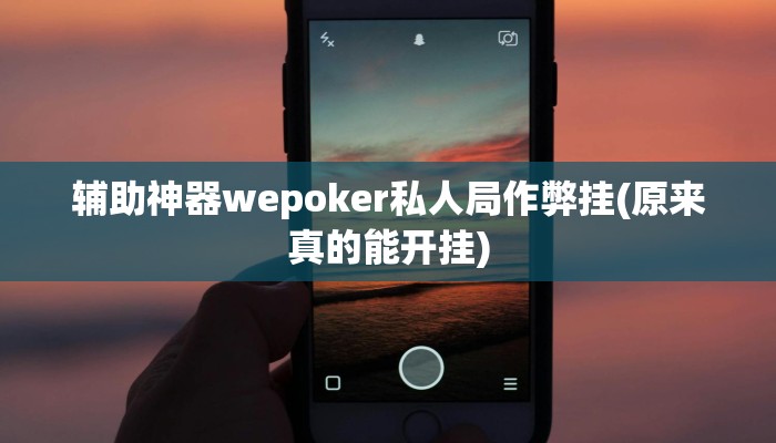 辅助神器“涼山斗十四怎么开挂”其实确实有挂
