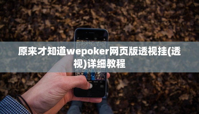 开挂技巧“丽水都莱麻将有没有挂”详细外挂安装步骤 