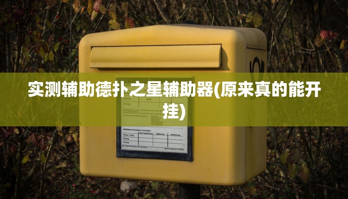 实测辅助德扑之星辅助器(原来真的能开挂)