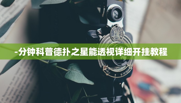 开挂技巧“德扑之星辅助作弊透视挂”详细外挂安装步骤 