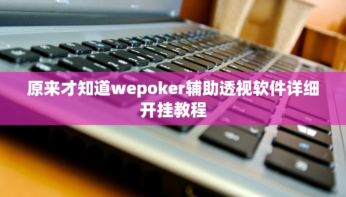 原来才知道wepoker辅助透视软件详细开挂教程