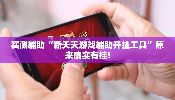 实测辅助“新天天游戏辅助开挂工具”原来确实有挂!