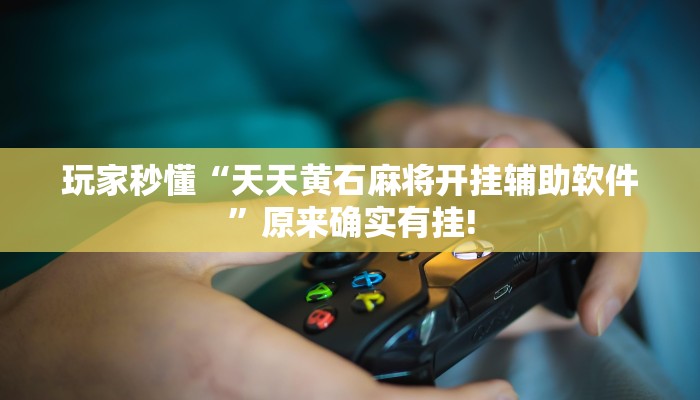 玩家秒懂“天天黄石麻将开挂辅助软件”原来确实有挂!