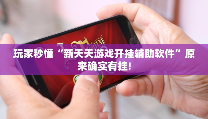 玩家秒懂“新天天游戏开挂辅助软件”原来确实有挂!