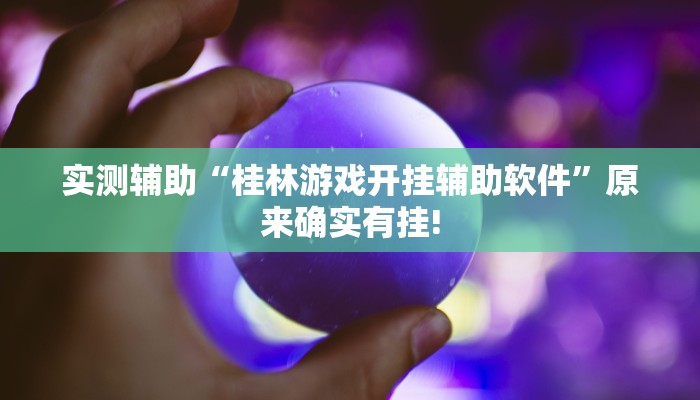 实测辅助“桂林游戏开挂辅助软件”原来确实有挂!