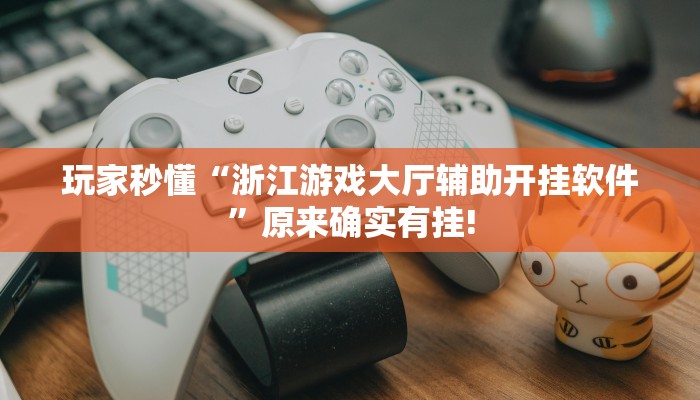 玩家秒懂“浙江游戏大厅辅助开挂软件”原来确实有挂!