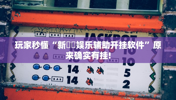 玩家秒懂“新幹線娱乐辅助开挂软件”原来确实有挂!