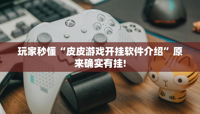 玩家秒懂“皮皮游戏开挂软件介绍”原来确实有挂!