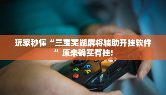 玩家秒懂“三宝芜湖麻将辅助开挂软件”原来确实有挂!