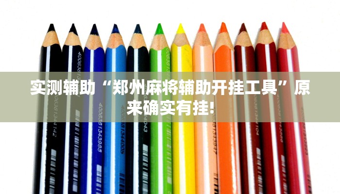实测辅助“郑州麻将辅助开挂工具”原来确实有挂!