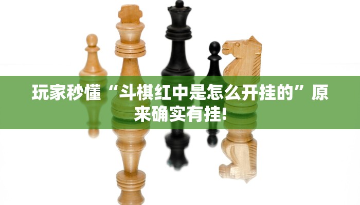 玩家秒懂“斗棋红中是怎么开挂的”原来确实有挂!