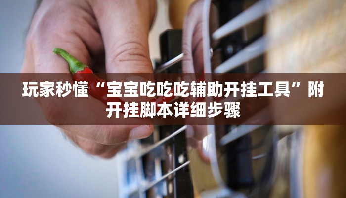 玩家秒懂“宝宝吃吃吃辅助开挂工具”附开挂脚本详细步骤