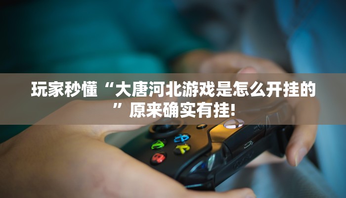 玩家秒懂“大唐河北游戏是怎么开挂的”原来确实有挂!