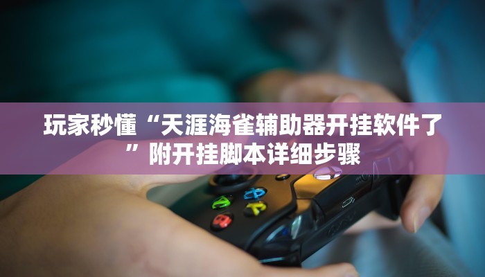 玩家秒懂“天涯海雀辅助器开挂软件了”附开挂脚本详细步骤