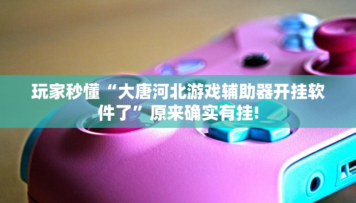 玩家秒懂“大唐河北游戏辅助器开挂软件了”原来确实有挂!