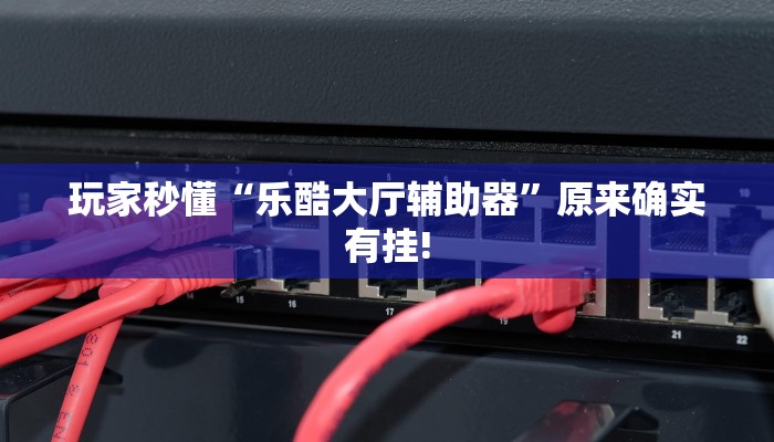 玩家秒懂“乐酷大厅辅助器”原来确实有挂!