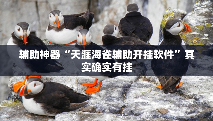 辅助神器“天涯海雀辅助开挂软件”其实确实有挂