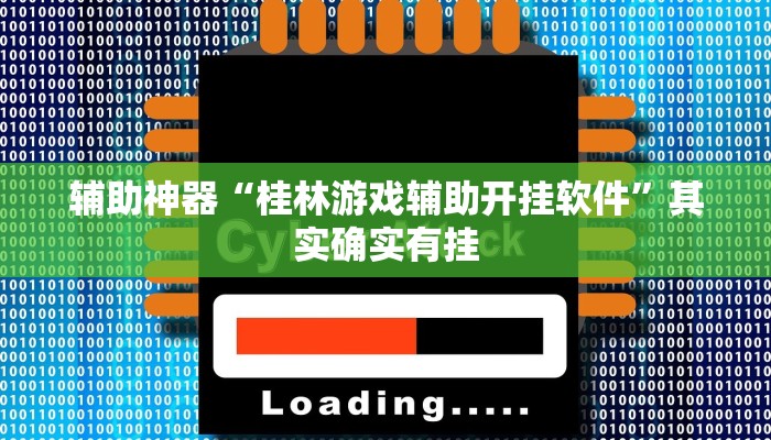 辅助神器“桂林游戏辅助开挂软件”其实确实有挂