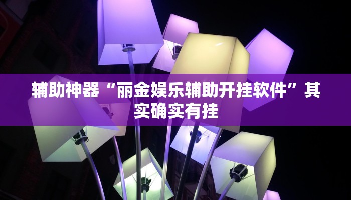 辅助神器“丽金娱乐辅助开挂软件”其实确实有挂