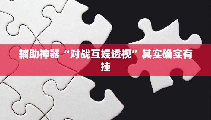 辅助神器“对战互娱透视”其实确实有挂