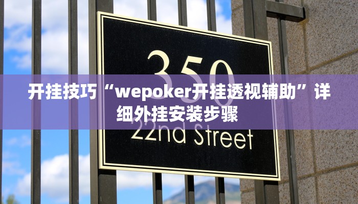 开挂技巧“wepoker开挂透视辅助”详细外挂安装步骤 