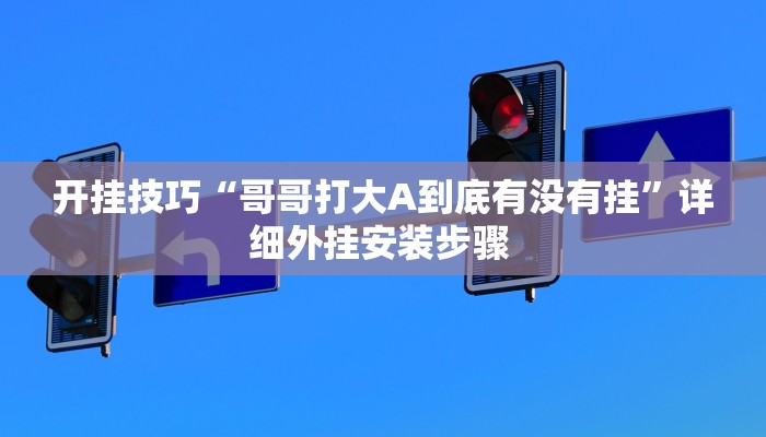 开挂技巧“哥哥打大A到底有没有挂”详细外挂安装步骤 