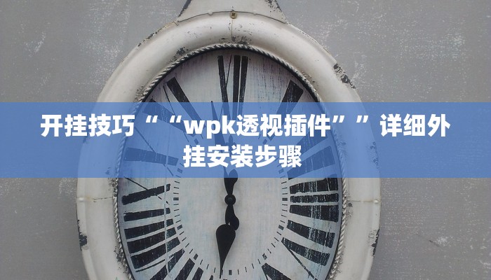 开挂技巧““wpk透视插件””详细外挂安装步骤 
