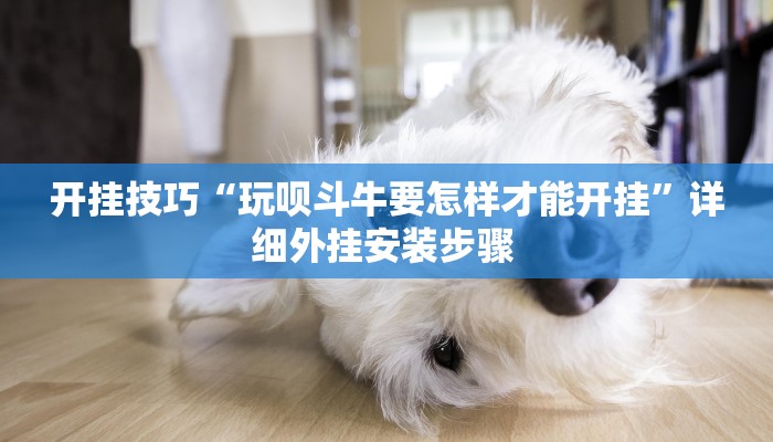 开挂技巧“玩呗斗牛要怎样才能开挂”详细外挂安装步骤 