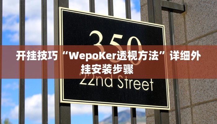 开挂技巧“WepoKer透视方法”详细外挂安装步骤 