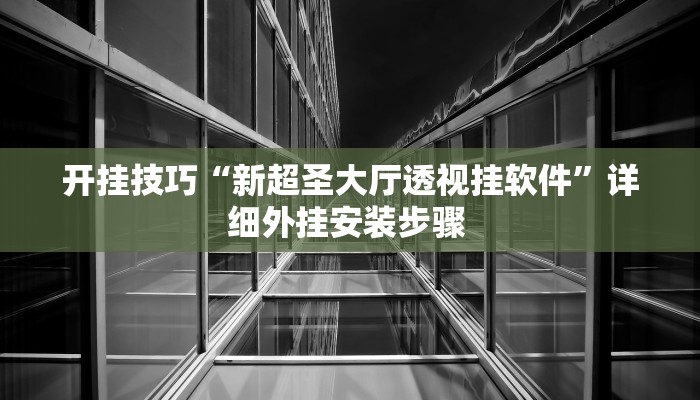 开挂技巧“新超圣大厅透视挂软件”详细外挂安装步骤 