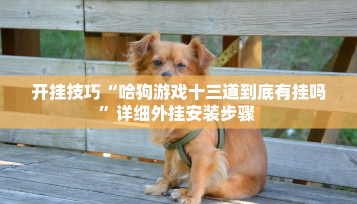 开挂技巧“哈狗游戏十三道到底有挂吗”详细外挂安装步骤 
