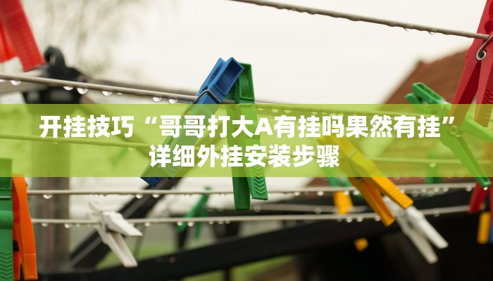 开挂技巧“哥哥打大A有挂吗果然有挂”详细外挂安装步骤 