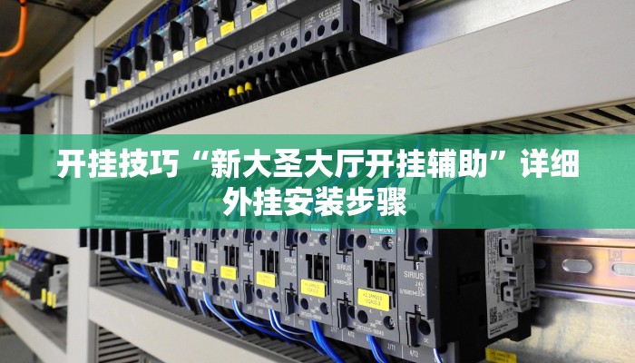 开挂技巧“新大圣大厅开挂辅助”详细外挂安装步骤 