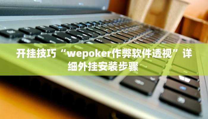 开挂技巧“wepoker作弊软件透视”详细外挂安装步骤 