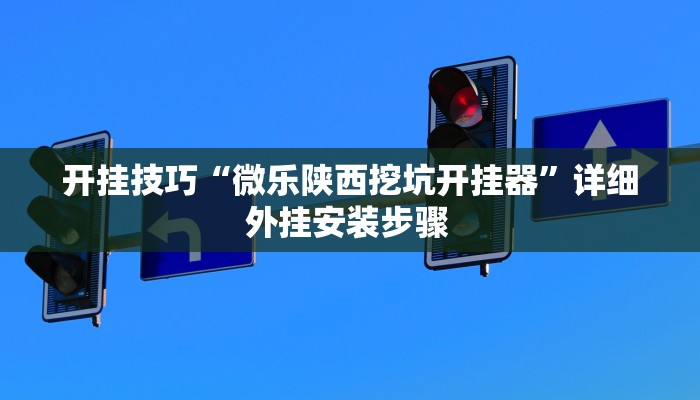 开挂技巧“微乐陕西挖坑开挂器”详细外挂安装步骤 