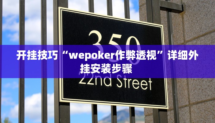 开挂技巧“wepoker作弊透视”详细外挂安装步骤 