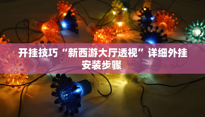 开挂技巧“新西游大厅透视”详细外挂安装步骤 