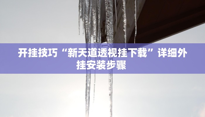 开挂技巧“新天道透视挂下载”详细外挂安装步骤 