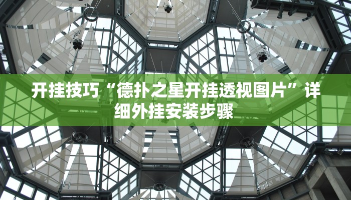开挂技巧“德扑之星开挂透视图片”详细外挂安装步骤 