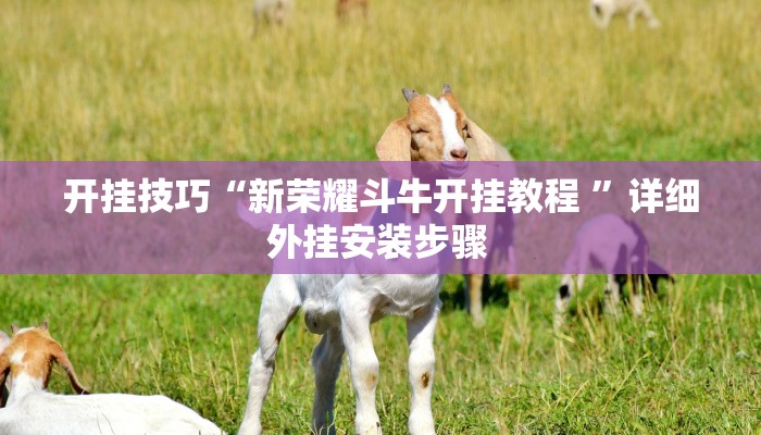 开挂技巧“新荣耀斗牛开挂教程 ”详细外挂安装步骤 