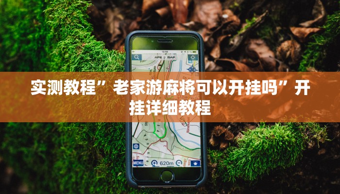 实测教程”老家游麻将可以开挂吗”开挂详细教程