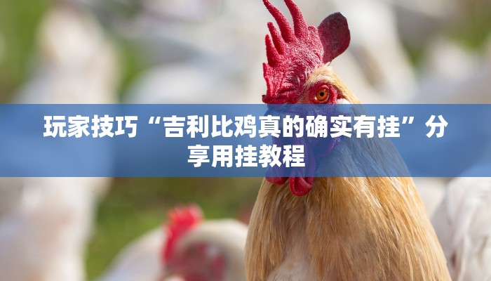 玩家技巧“吉利比鸡真的确实有挂”分享用挂教程 玩家技巧“吉利比鸡真的确实有挂”分享用挂教程