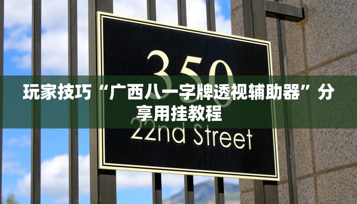 玩家技巧“广西八一字牌透视辅助器”分享用挂教程 玩家技巧“广西八一字牌透视辅助器”分享用挂教程