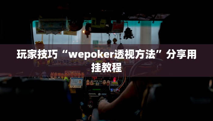 玩家技巧“wepoker透视方法”分享用挂教程