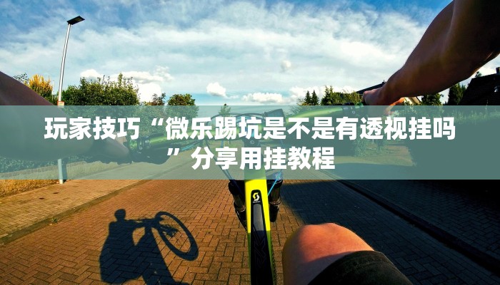 玩家技巧“微乐踢坑是不是有透视挂吗”分享用挂教程 玩家技巧“微乐踢坑是不是有透视挂吗”分享用挂教程