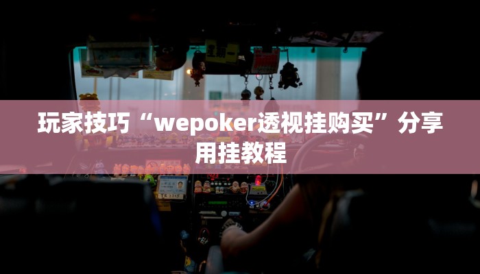 玩家技巧“wepoker透视挂购买”分享用挂教程 玩家技巧“wepoker透视挂购买”分享用挂教程