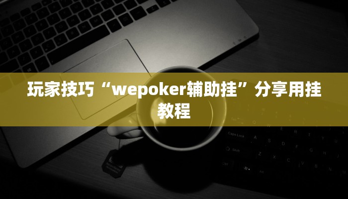 玩家技巧“wepoker辅助挂”分享用挂教程 玩家技巧“wepoker辅助挂”分享用挂教程